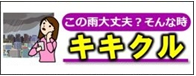 キキクル（気象庁）