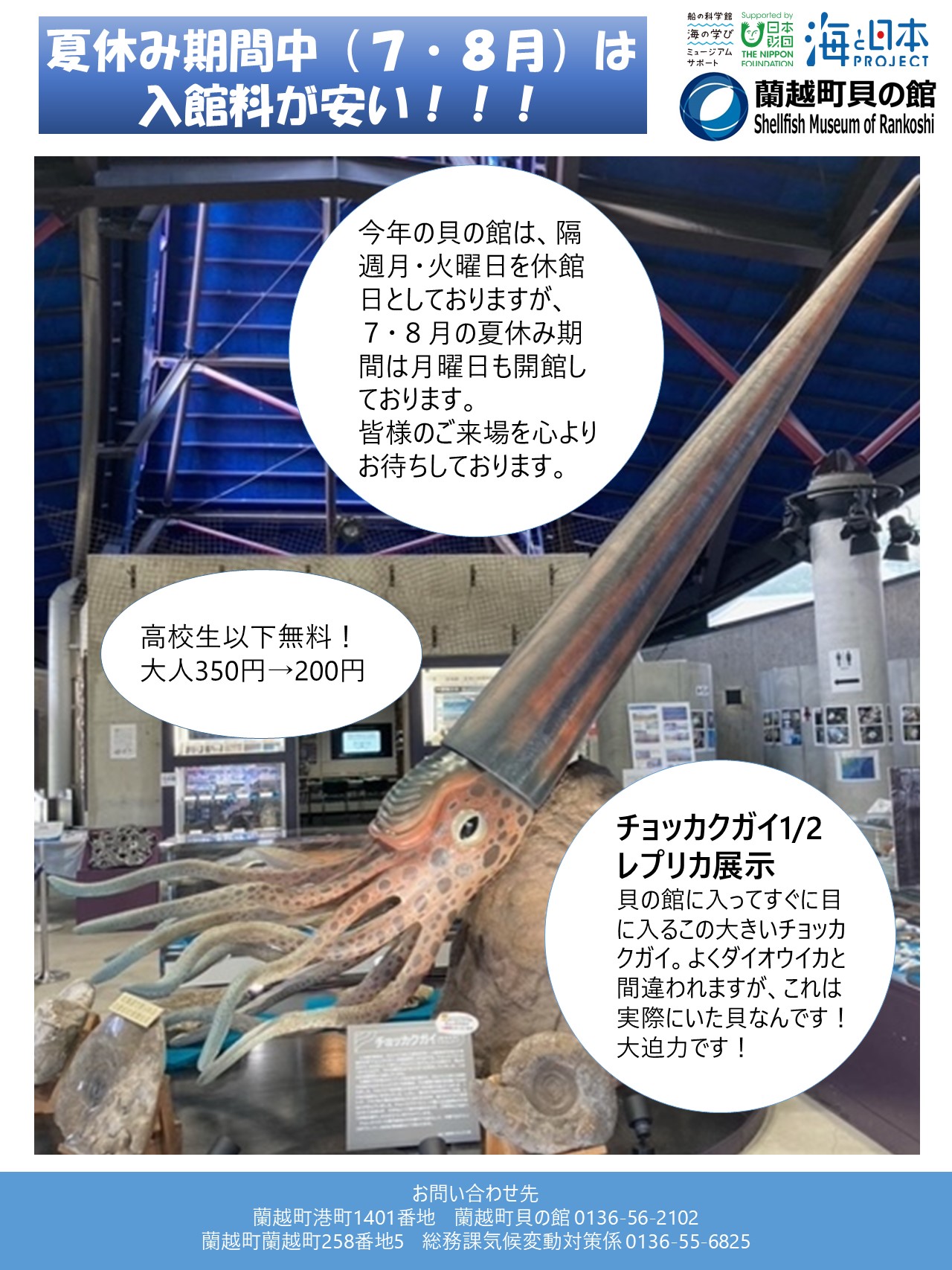貝の館　夏休みチラシ
